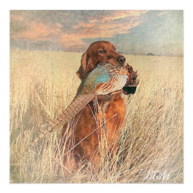 Irish Setter with pheasant   Photo Print (Front)
