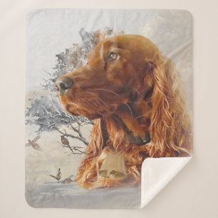 Irish setter with pheasant  sherpa blanket