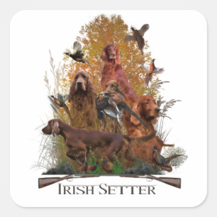 Irish Setter with pheasant       Square Sticker