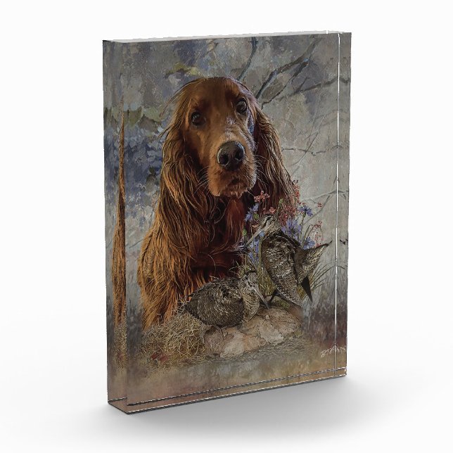 Irish setter with woodcock        photo block (Left)