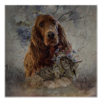 Irish setter with woodcock  