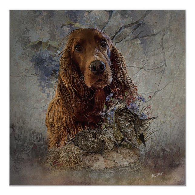 Irish setter with woodcock   poster (Front)