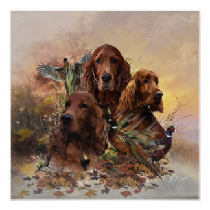  Irish Setters with Pheasants - Passion Hunt Poster