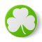 Irish Shamrock