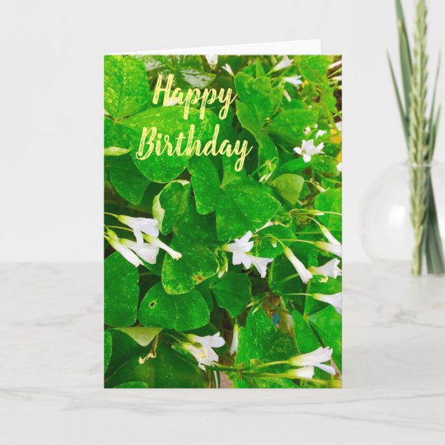 Irish Shamrock Birthday Greetings Card (Front)