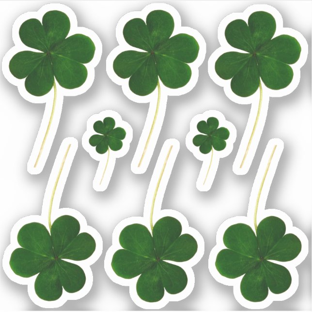 Irish Shamrock Green Clovers St. Patrick's Day (Front)