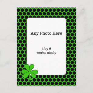 Irish Shamrock Photo Postcard