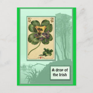 Irish shamrocks postcard