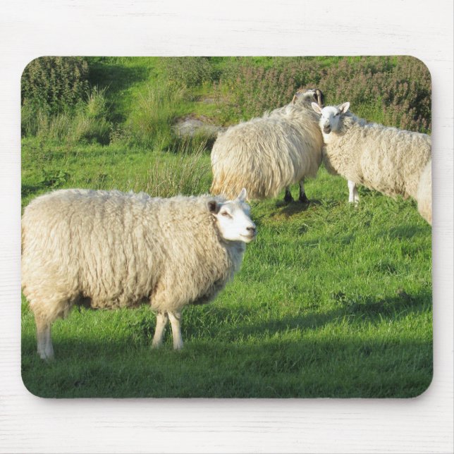 Irish Sheep Mouse Mat (Front)