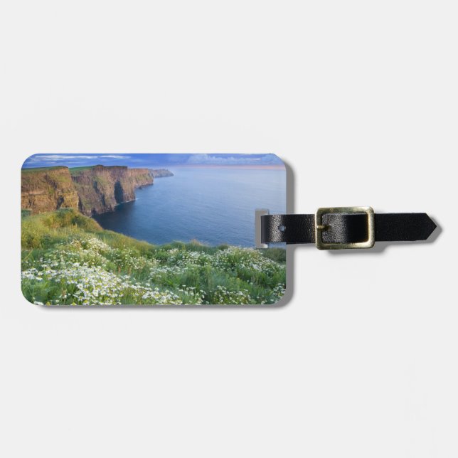 Irish Shore Luggage Tag (Front Horizontal)