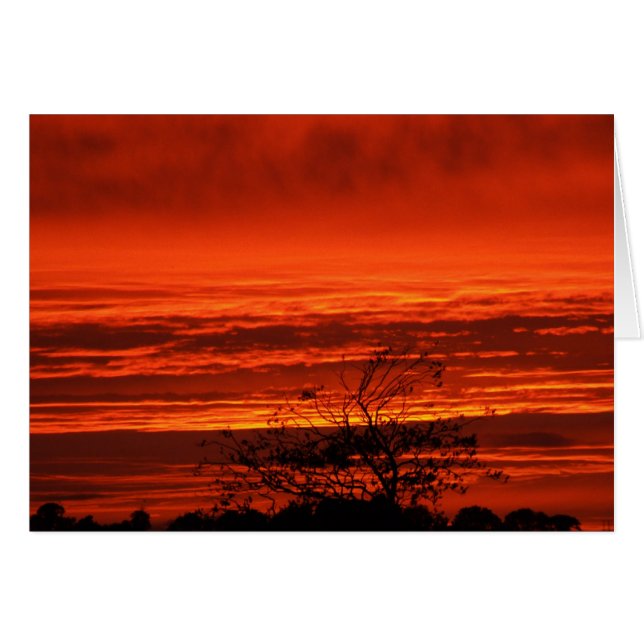 Irish Sunset, Cork, Ireland Cards (Front Horizontal)