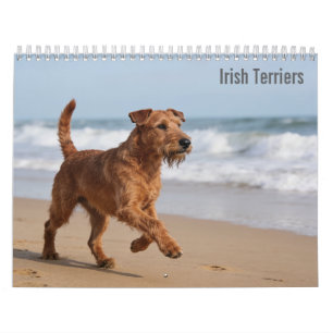 Irish Terrier 2027 Calendar