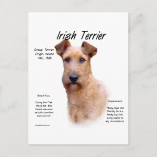 Irish Terrier History Design Postcard