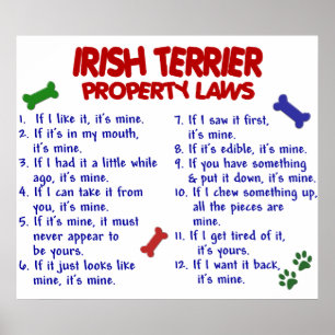 IRISH TERRIER PL2 POSTER