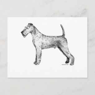 Irish Terrier Postcard