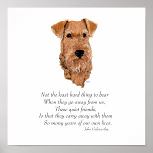 Irish Terrier Rainbow Bridge Poster