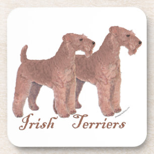 Irish Terriers Coaster