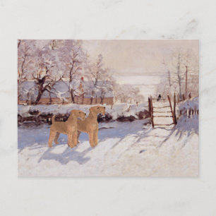 Irish Terriers in Winter Postcard