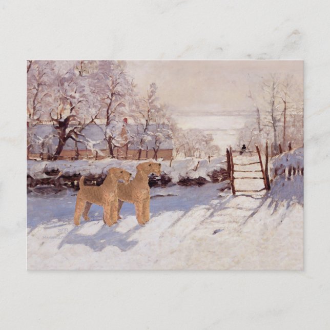Irish Terriers in Winter Postcard (Front)