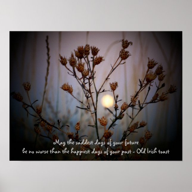 Irish Toast with Full Moon through Sage Poster (Front)