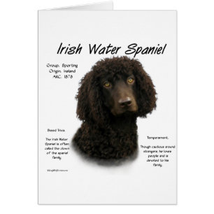 Irish Water Spaniel History Design