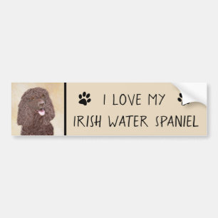 Irish Water Spaniel Painting - Original Dog Art Bumper Sticker