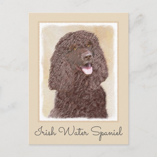 Irish Water Spaniel Painting - Original Dog Art Postcard (Front)