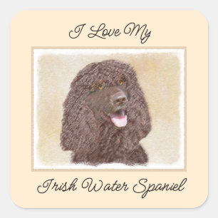 Irish Water Spaniel Painting - Original Dog Art Square Sticker