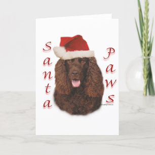 Irish Water Spaniel Santa Paws Holiday Card