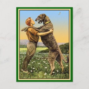 "Irish Wolfhound Greeting" Postcard