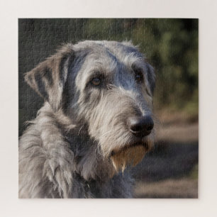 Irish Wolfhound I Am Not Amused, Jigsaw Puzzle