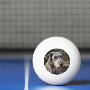 Irish Wolfhound I Am Not Amused, Ping Pong Ball