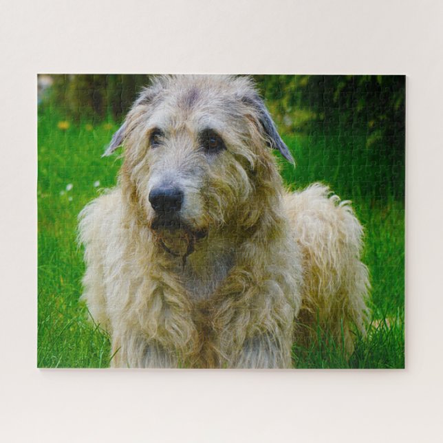 Irish Wolfhound. Jigsaw Puzzle (Horizontal)