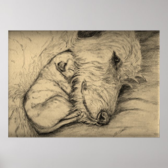 Irish Wolfhound Mother and Puppy Poster (Front)