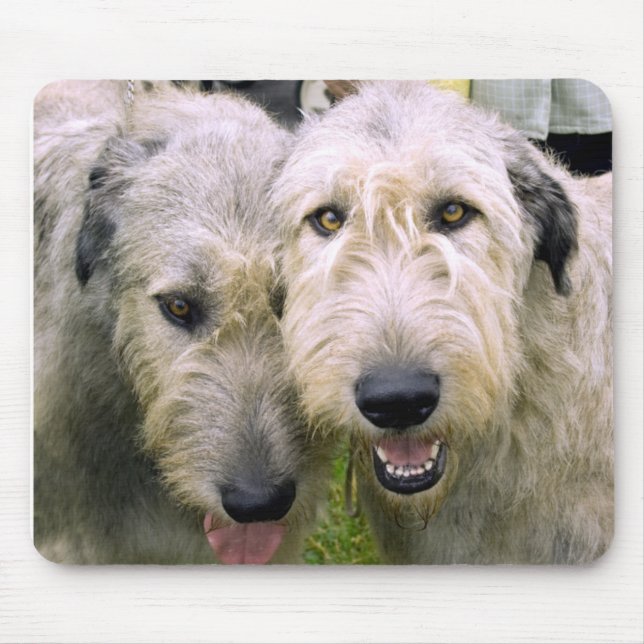 Irish Wolfhound Photo Mouse Mat (Front)