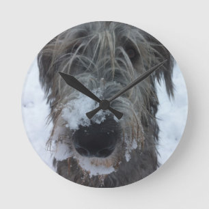 Irish wolfhound playing in the snow round clock