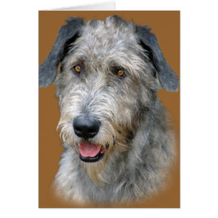 Irish Wolfhound Portrait