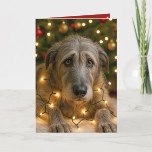 Irish Wolfhound Tangled In Holiday Lights Card
