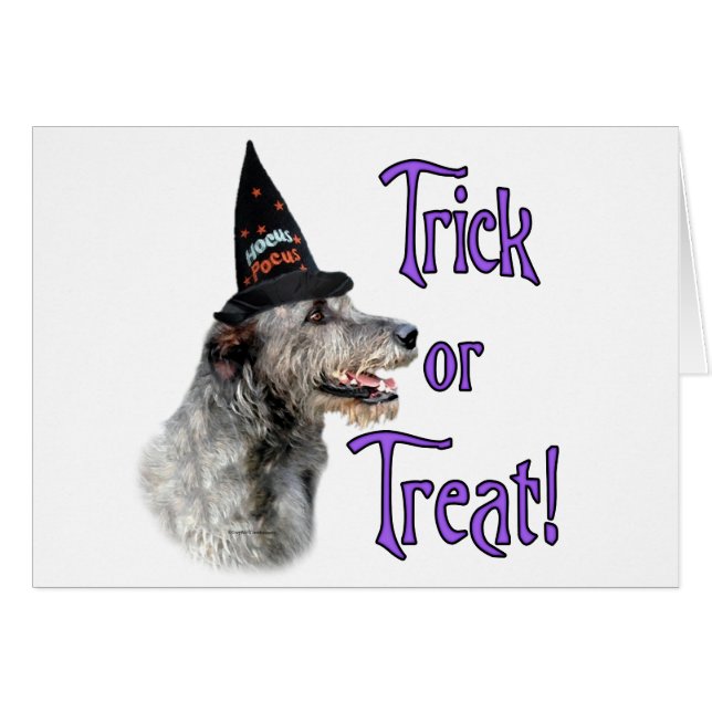 Irish Wolfhound Trick (Front Horizontal)