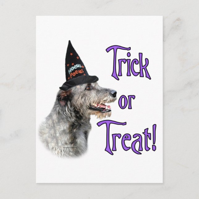 Irish Wolfhound Trick Postcard (Front)