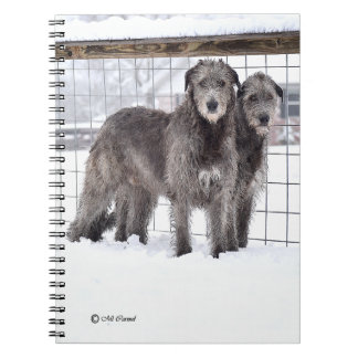 Irish Wolfhounds in Snow Notebook