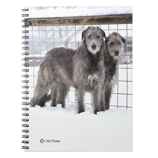 Irish Wolfhounds in Snow Notebook (Front)
