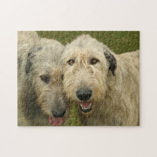 Irish Wolfhounds Photo Jigsaw Puzzle