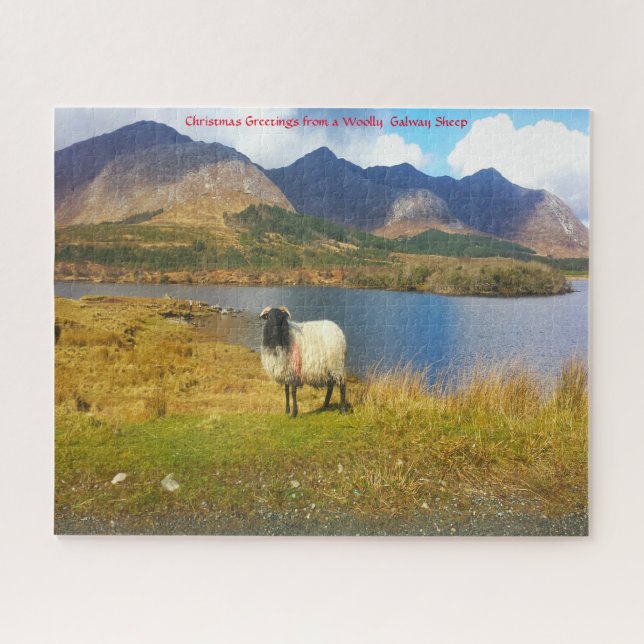 Irish Woolly Sheep Galway Ireland. Jigsaw Puzzle (Horizontal)