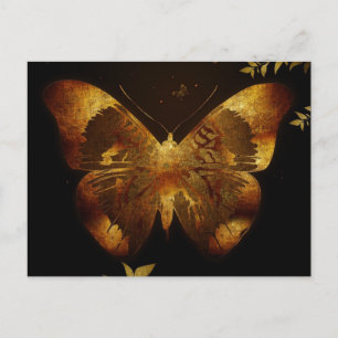Iron Butterfly Postcard