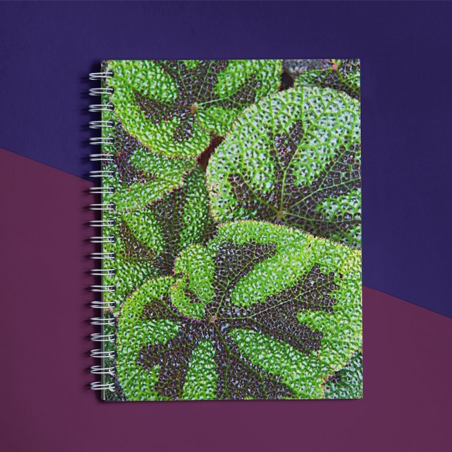Iron Cross Begonia Floral Notebook (In Situ)