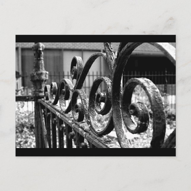 Iron Fence Postcard (Front)