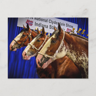 Iron Horse 3 Heads Postcard