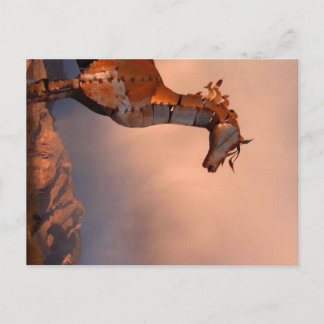 "Iron Horse" Postcard