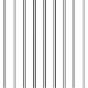 Iron Jail Bars Photo Sculpture Magnet